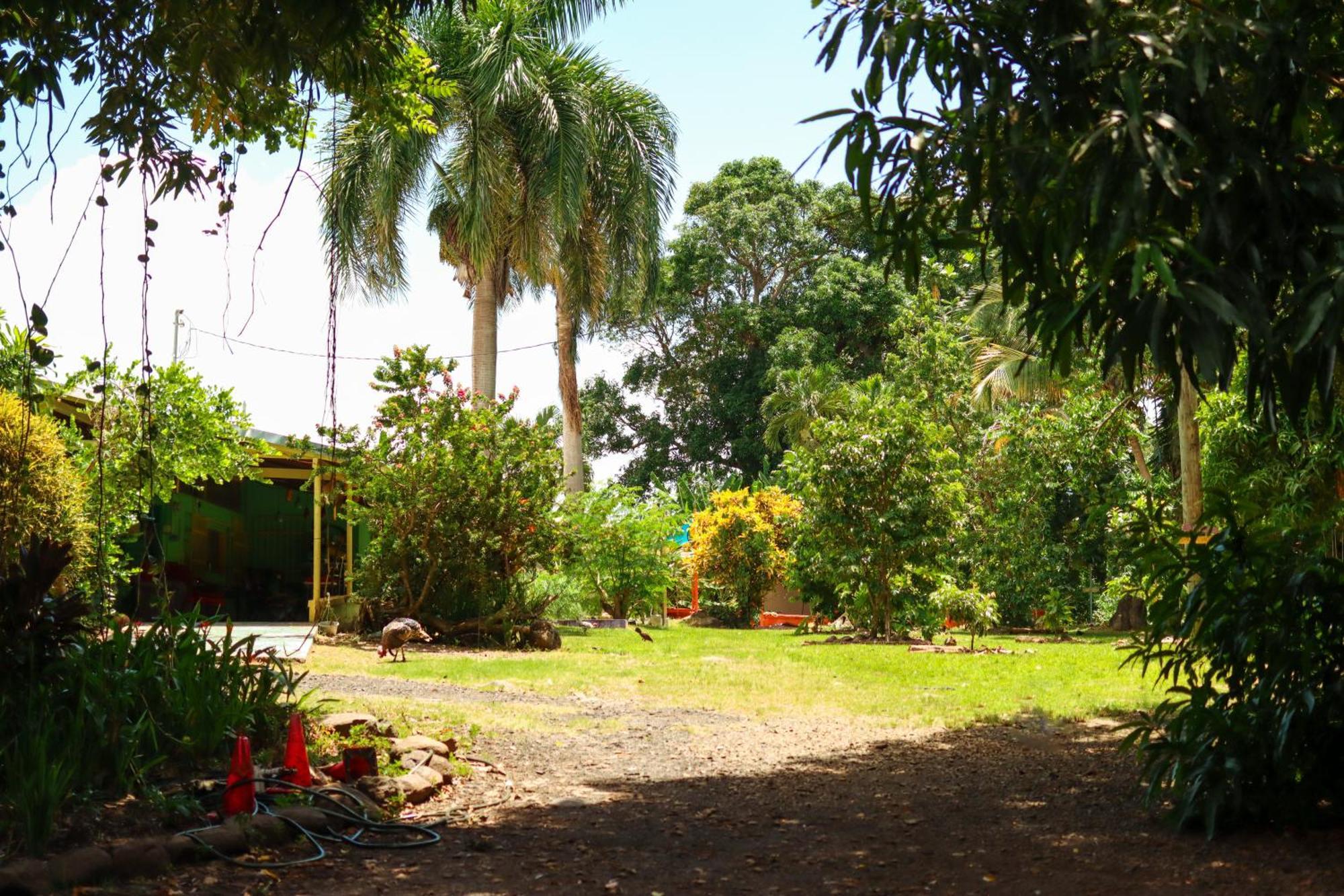La Casa De Vida Natural Rio Grande Exterior photo